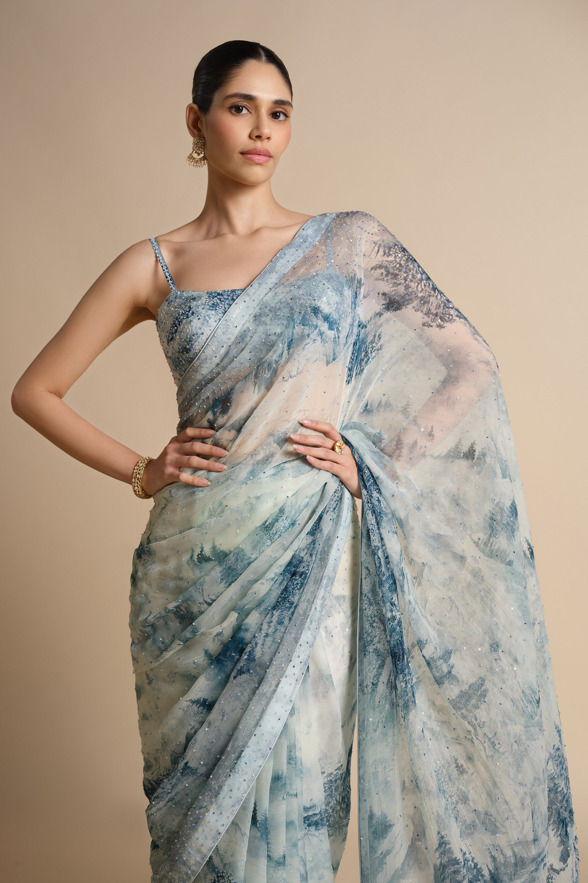 Morava Sequin Chiffon Saree - Powder Blue, Powder Blue, image 10